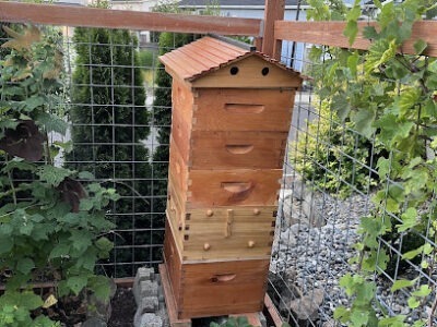 Washougal Honey Bee Houses