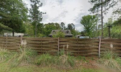 Haleys Honey & Beekeeping