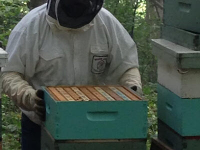 SixAcre Apiary