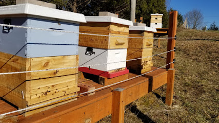Beaver Dam Bees