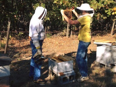 Bixbee Farms