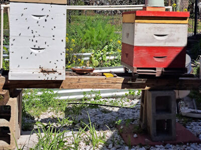 Frenchtown Bee Farm & Debbie's Grand'ola