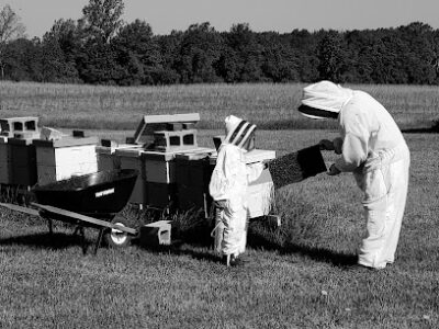 Miss Bee Haven Apiary