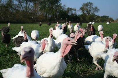 Old Glory Farm Honey & Free Range Turkeys