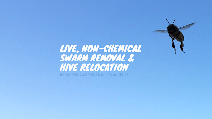 Queen Bee Removal