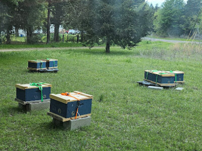 Heavenly Harvest Apiary & Bee Supply