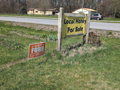 Bee Madness Apiary