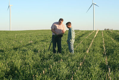 Iowa Cover Crop