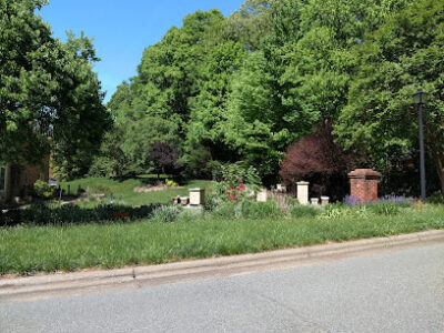 Arnott's Apiary