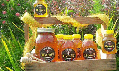 Red Hill Bee Farm