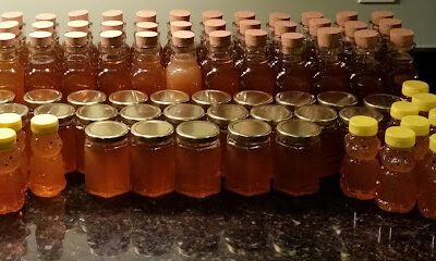 Kevin's Beekeeping