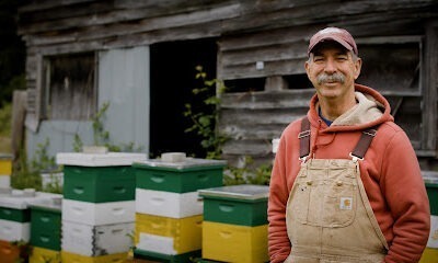 Woodland Creek Honey Farm