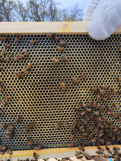 Beekeeping Etc.