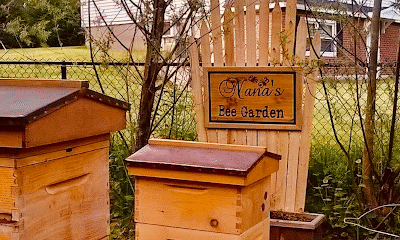 Bamberg Honey