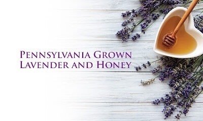 Munstead Hollow Farm