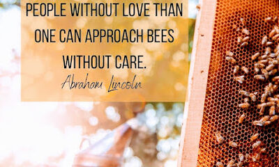Draper's Apiary LLC