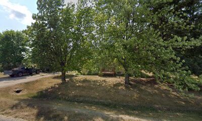 The Little Apiary