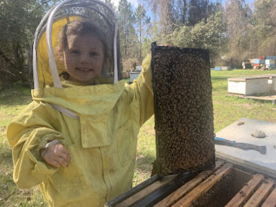 Dripping Comb Bee Company