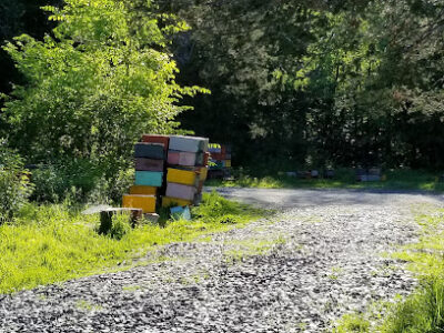 Singing Cedars Apiaries
