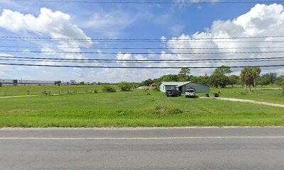 Florida Bees Hives