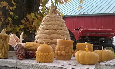 Wild Bee Honey Farm