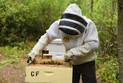 Cole’s Farm NC Beekeeping (Local Honey)