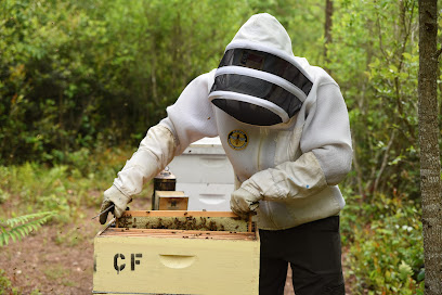 Cole’s Farm NC Beekeeping (Local Honey)