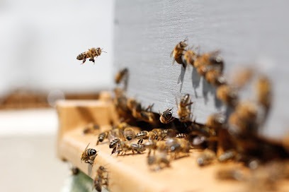 P8 Bee Farm