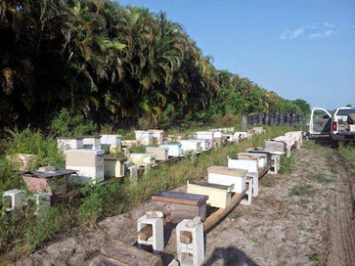 Bee Barf Apiaries