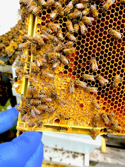 JK Honey Farms