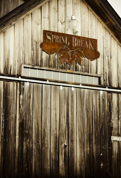 SPRING BREAK MAPLE FARMS