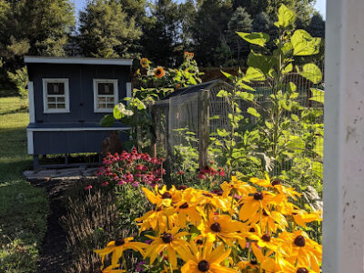 Hickory Homestead and Apiary