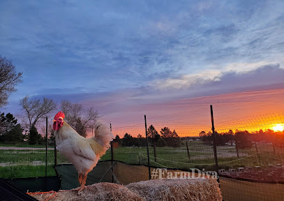 Ponderosa Plains Farm