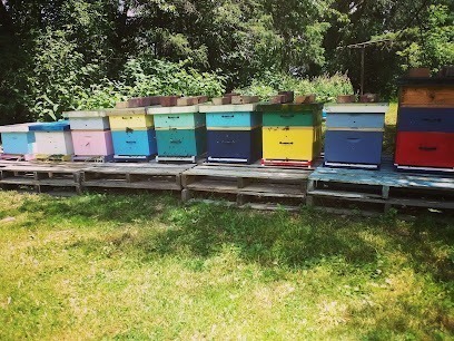 Park Street Apiary