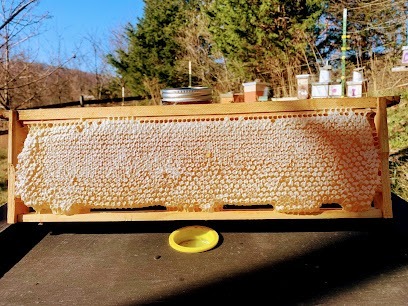 Spring City Bee Farm