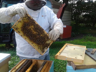 The Bee Shack