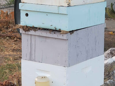 Aphrodite's Apiary, LLC