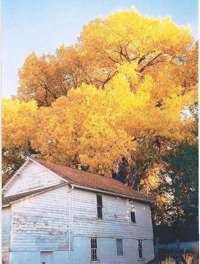 Honeyville Honey
