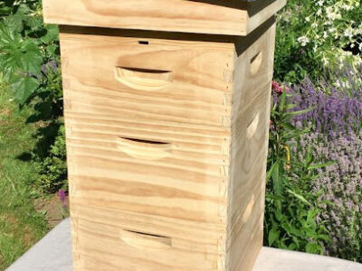 Hive & Garden