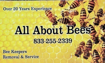 All About Bees