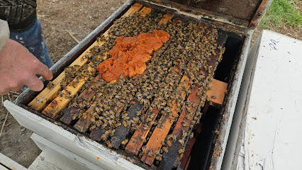 Beehive State Honey