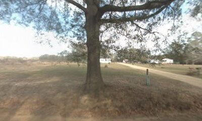 The Creator’s Garden