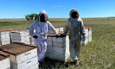 Browning's Honey
