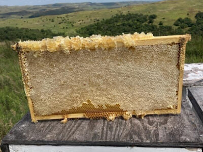 B&L Honey LLC