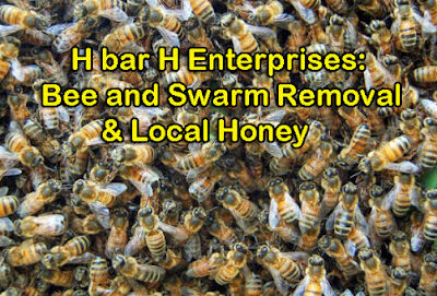 H bar H Enterprises, LLC