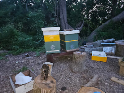 Suddabee's Honey