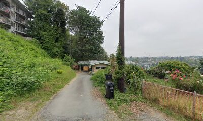 Seattle Bee Services