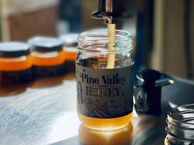 Pine Valley Honey