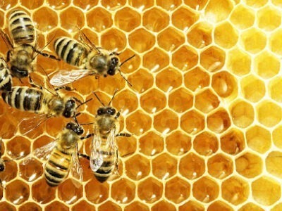 Direct Hive