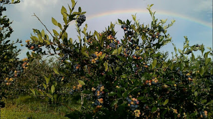 Crystal Springs Farm Market